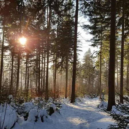 Im Erzgebirge Wandern, Fahrrad Fahren Oder Entspannen Ehrenfriedersdorf Exterior photo