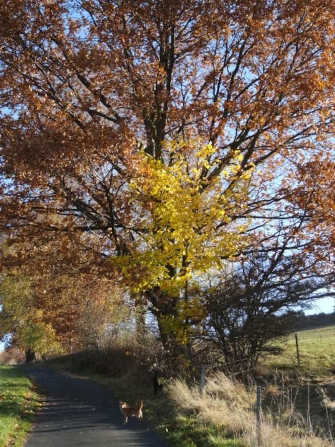 Im Erzgebirge Wandern, Fahrrad Fahren Oder Entspannen * Ehrenfriedersdorf
